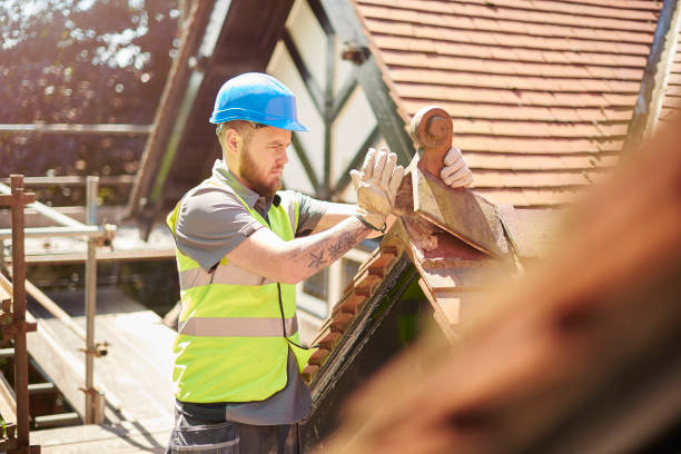 Roof Gutter Cleaning in Chalfant, CA